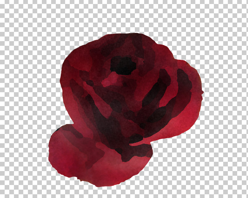 Rose PNG, Clipart, Coquelicot, Flower, Maroon, Petal, Pink Free PNG Download