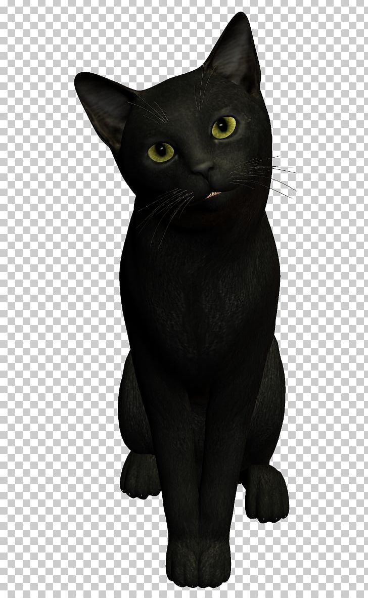 American Shorthair Dog Black Cat PNG, Clipart, Black, Black Panther, Bombay, Carnivoran, Cartoon Free PNG Download