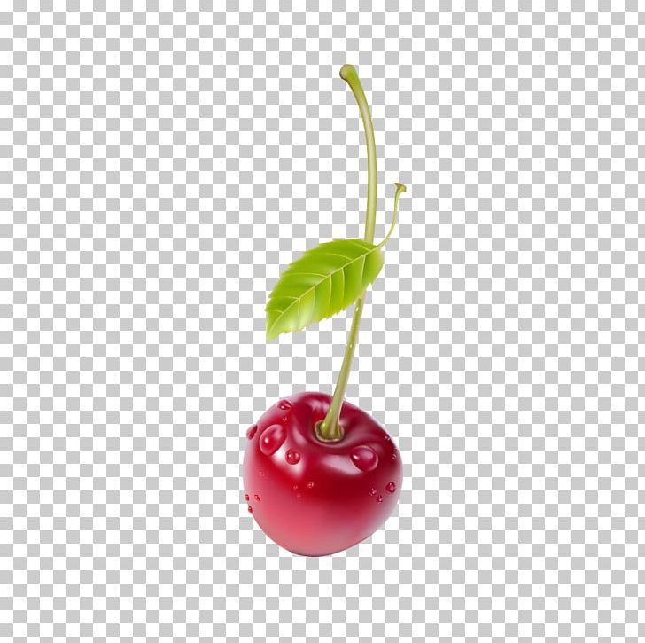 Juice Cherry Fruit Salad PNG, Clipart, Berry, Cherries, Cherry, Cherry Blossom, Cherry Blossoms Free PNG Download