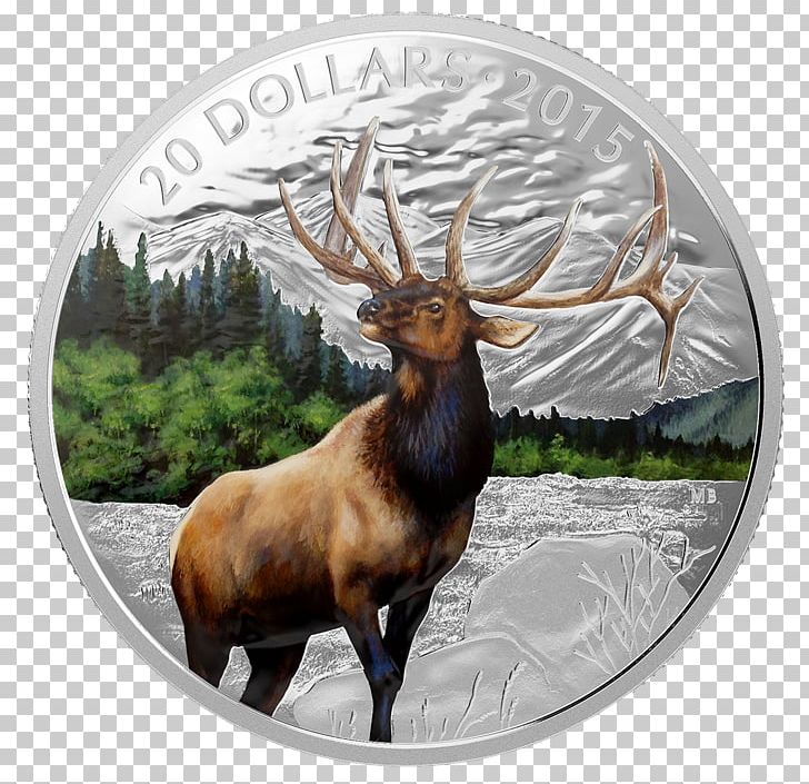 Majestic Elk Deer Silver Coin PNG, Clipart, Antler, Bullion Coin, Canada, Coin, Deer Free PNG Download