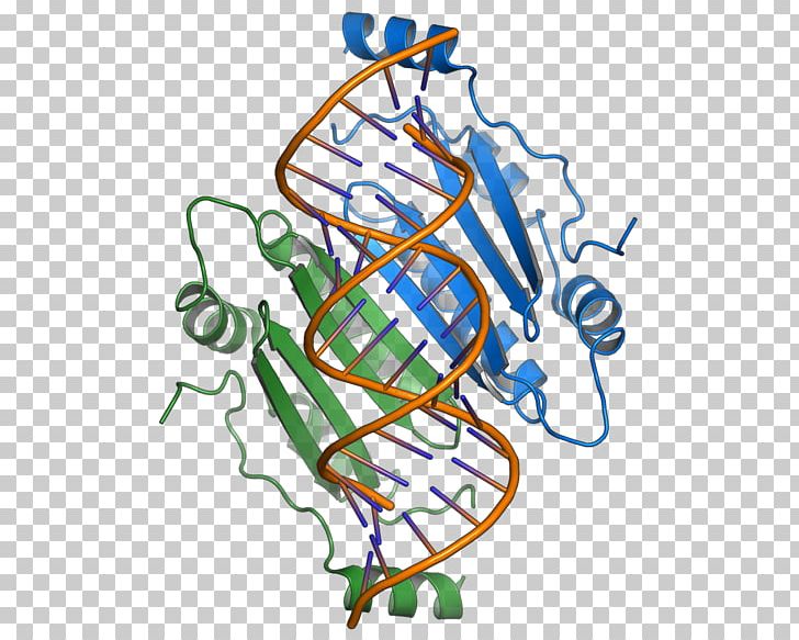 RNA Silencing Suppressor P19 Overlapping Gene Positive-sense Single-stranded RNA Virus PNG, Clipart, Area, Art, Bushy, Capsid, Doublestranded Rna Viruses Free PNG Download