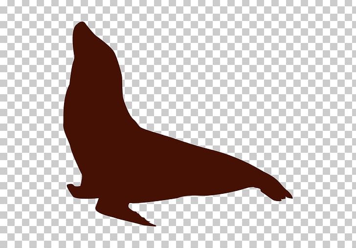 Sea Lion Walrus Earless Seal Silhouette PNG, Clipart, Animaatio, Animals, Aquatic Animal, Beak, Black And White Free PNG Download