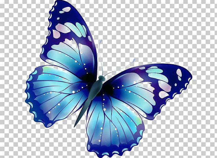 Butterfly PNG, Clipart, Arthropod, Blog, Blue, Blue Abstract, Brush Footed Butterfly Free PNG Download