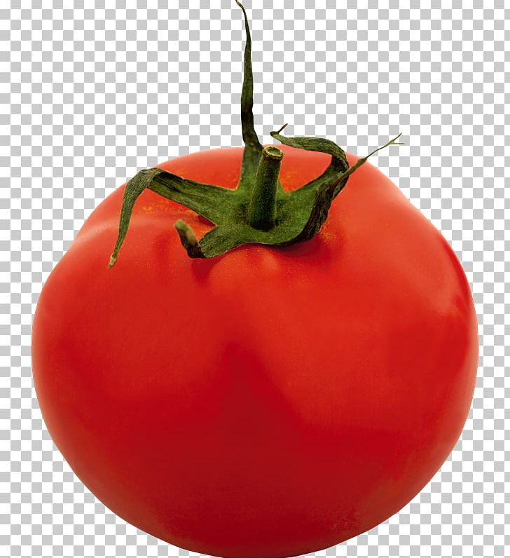 Plum Tomato Bush Tomato Chili Pepper Pomodoro Technique PNG, Clipart, Bell Pepper, Bell Peppers And Chili Peppers, Chili Con Carne, Diet Food, Food Free PNG Download