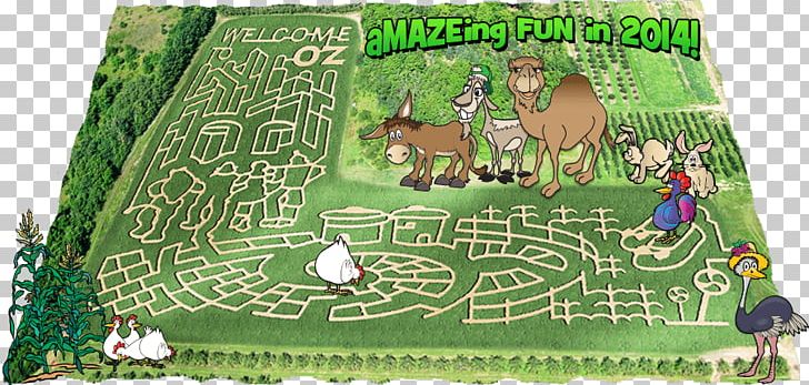 Maze Lawn PNG, Clipart, Corn Maze, Grass, Lawn, Maze Free PNG Download