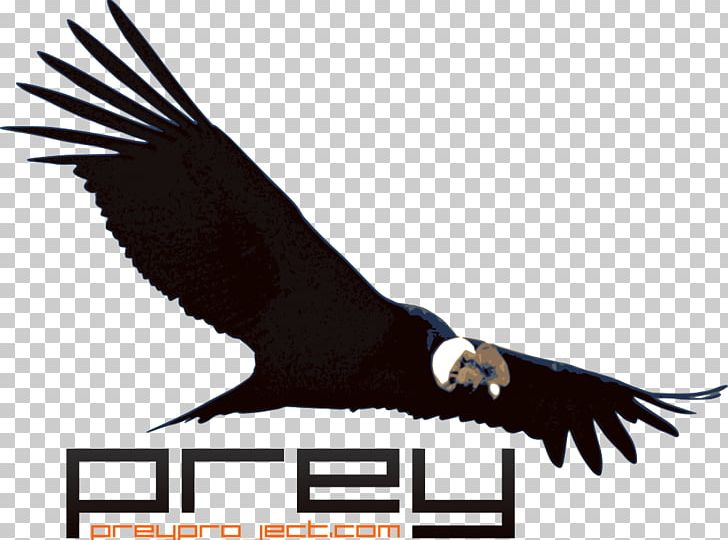 Prey Laptop Colca Canyon Computer Software Anti-theft System PNG, Clipart, Android, Antitheft System, Bald Eagle, Beak, Bird Free PNG Download