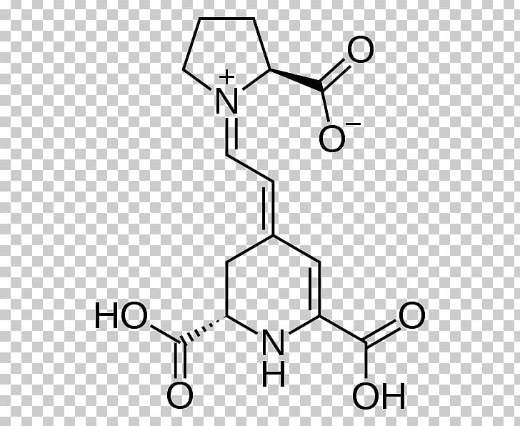 Essential Amino Acid Amine Aspartic Acid PNG, Clipart, Acid, Acyl Chloride, Alanine, Amine, Amino Acid Free PNG Download