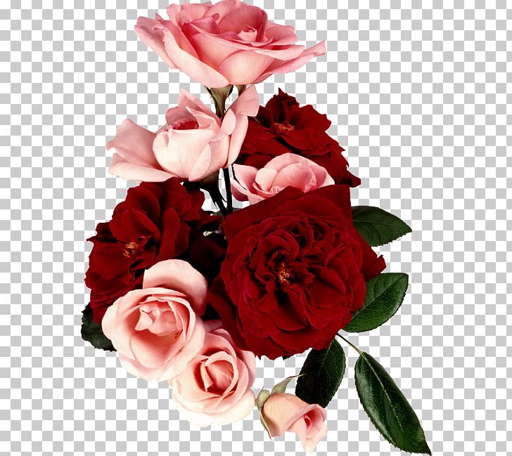 Garden Roses Flower Bouquet Valentine's Day Cabbage Rose PNG, Clipart,  Free PNG Download