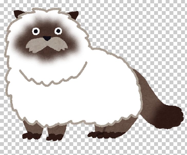 Himalayan Cat Study Skills Tales Of The Rays Learning Felidae PNG, Clipart, Animalassisted Therapy, Bear, Black Cat, Breed, Carnivoran Free PNG Download