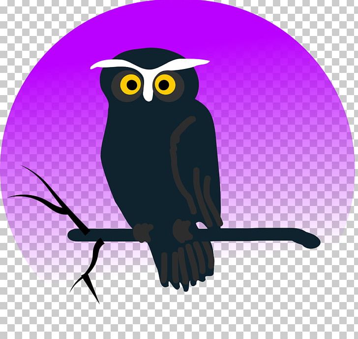 Owl Halloween Animation PNG, Clipart, Animals, Animation, Barn Owl, Barred Owl, Beak Free PNG Download
