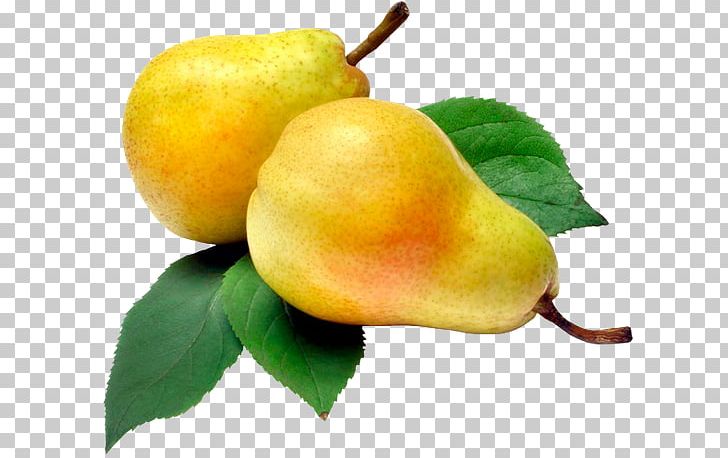 Rakia Williams Pear Moonshine Fruit Vegetable PNG, Clipart, Apple, Apples, Auglis, Compote, European Pear Free PNG Download