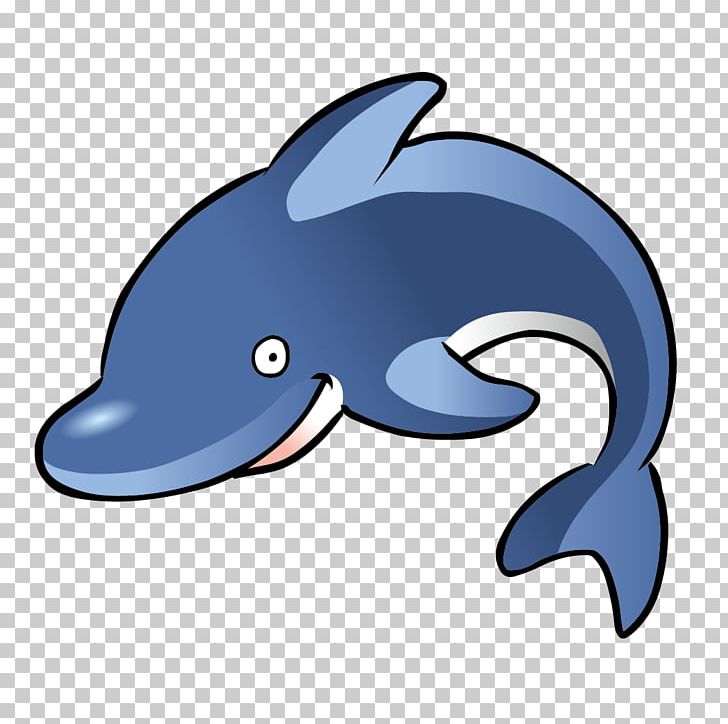 Spinner Dolphin Free Content PNG, Clipart, Animal, Animals, Blue, Blue Background, Blue Vector Free PNG Download