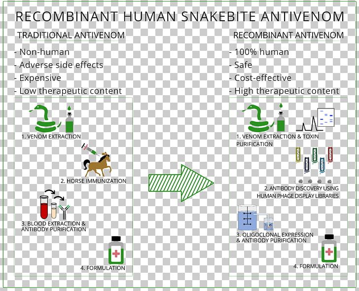 Therapy Antibody Antivenom Pharmacology PNG, Clipart, Angle, Animal, Area, Brand, Chinese Hamster Ovary Cell Free PNG Download