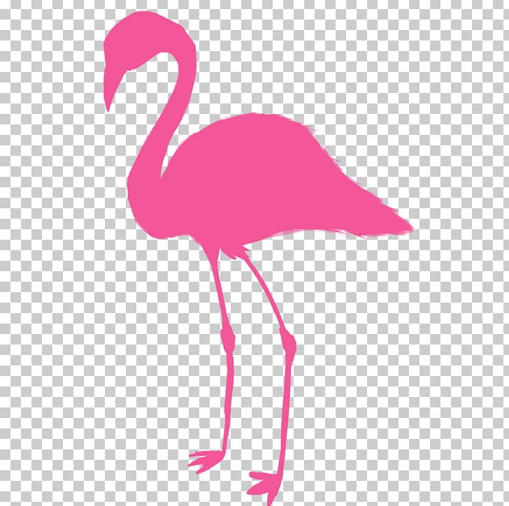 Wall Decal Sticker Polyvinyl Chloride PNG, Clipart, Beak, Bird, Decal, Feather, Flamingo Free PNG Download