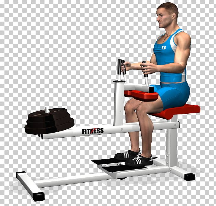 Fitness Centre Calf Raises Dumbbell Shoulder PNG, Clipart, Abdomen, Arm, Balance, Barbell, Bench Free PNG Download