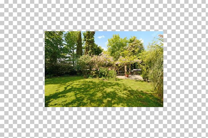 Plant Community Tree Property Land Lot Meadow PNG, Clipart, Area, Community, Cottage, Ecosystem, Estate Free PNG Download