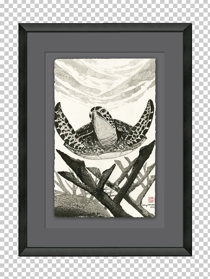Visual Arts Feather Frames Pattern PNG, Clipart, Animals, Art, Bird, Fauna, Feather Free PNG Download