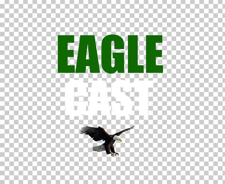 Eagle Transmission And Auto Repair Car Logo Experience Rio De Janeiro PNG, Clipart, Announcement, Beak, Bird, Bird Of Prey, Brand Free PNG Download