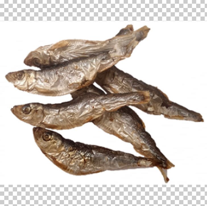 Kipper Dog European Sprat Food Drying PNG, Clipart, Anchovies As Food, Anchovy, Anchovy Food, Animals, Animal Source Foods Free PNG Download