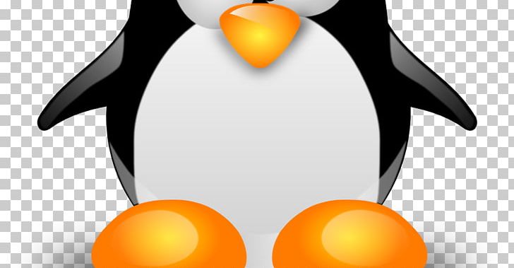 Linux: The Ultimate Beginner's Guide! Installation Linux Kernel Operating Systems PNG, Clipart,  Free PNG Download