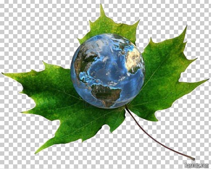 Natural Environment Environmental Policy Environmental Engineering Climate Change PNG, Clipart,  Free PNG Download