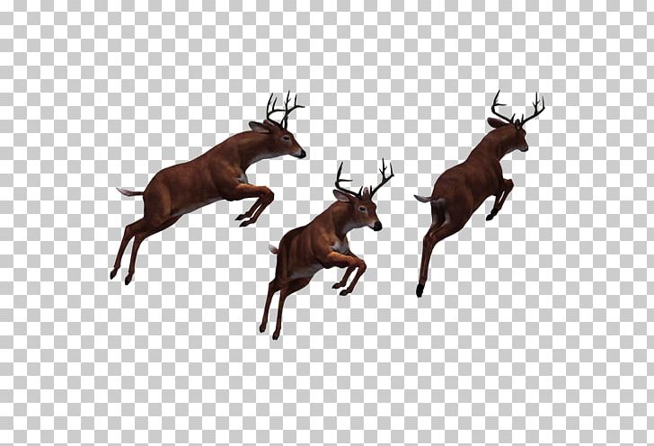 Reindeer Elk PNG, Clipart, 3d Computer Graphics, Animal, Animals, Antler, Brown Free PNG Download