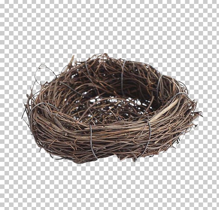 Edible Birds Nest Swallow PNG, Clipart, Animals, Basket, Bird, Bird Cage, Bird Nest Free PNG Download