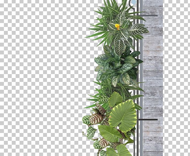 Flowerpot Houseplant Tree PNG, Clipart, Flower, Flowerpot, Houseplant, Nature, Plant Free PNG Download