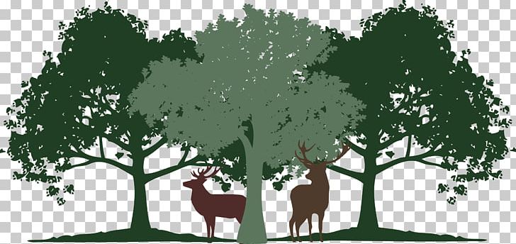 Oaks Of Westlakes Apartments Table Psicólogo Lic. Elias Vida Psychology PNG, Clipart, Apartment, Bedroom, Branch, Counseling Psychology, Deer Free PNG Download