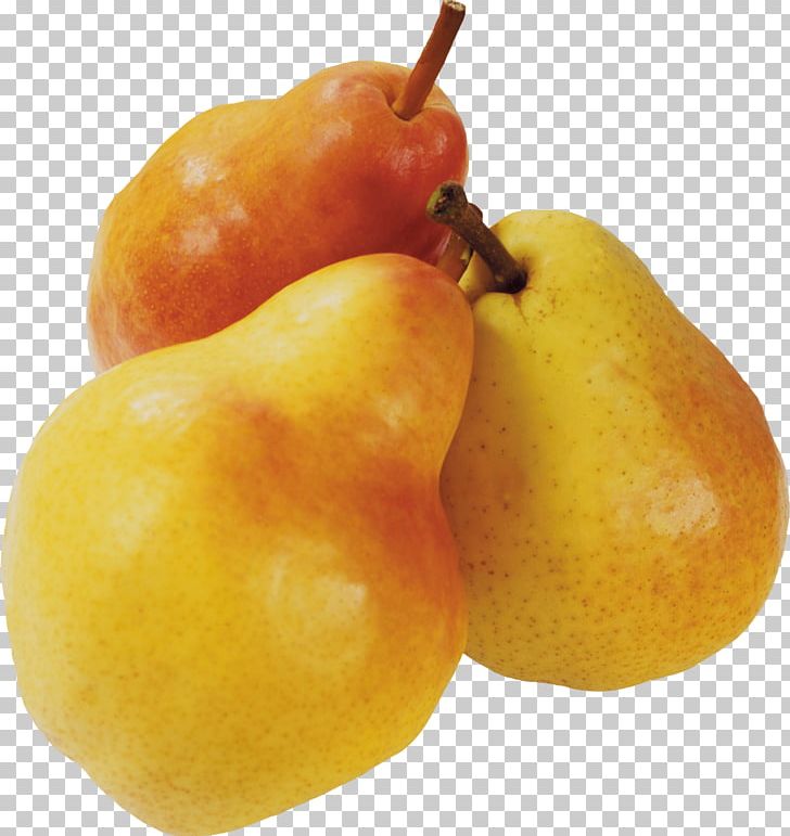 Pear Vegetarian Cuisine Accessory Fruit PNG, Clipart, Accessory Fruit, Apple, Desktop Wallpaper, Digital Image, Display Resolution Free PNG Download