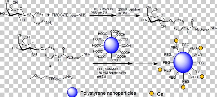 PEGylation Polyethylene Glycol Carbohydrate Mannose Technology PNG, Clipart, Amine, Angle, Area, Blue, Carbohydrate Free PNG Download