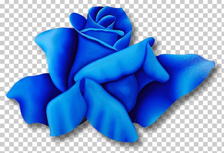 Blue Rose Garden Roses Painting Rosa 'Magnifica' PNG, Clipart,  Free PNG Download