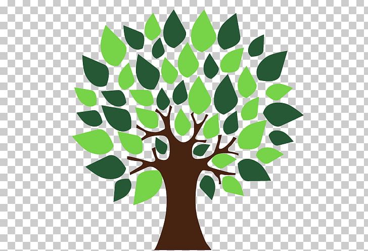 Environmentally Friendly PNG, Clipart, Branch, Drawing, Environmentally Friendly, Flora, Flower Free PNG Download