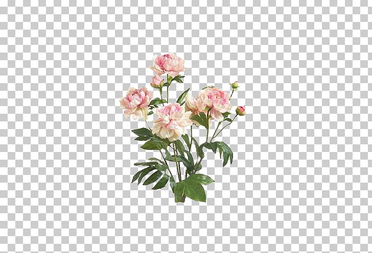 Floral Design Naver Blog Naver Blog PNG, Clipart, Blog, Computer Icons, Cut Flowers, Email, Floral Design Free PNG Download