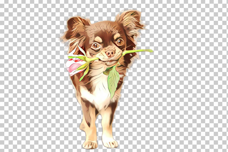 Dog Puppy Chihuahua Russkiy Toy Companion Dog PNG, Clipart, Chihuahua, Companion Dog, Dog, Puppy, Russkiy Toy Free PNG Download