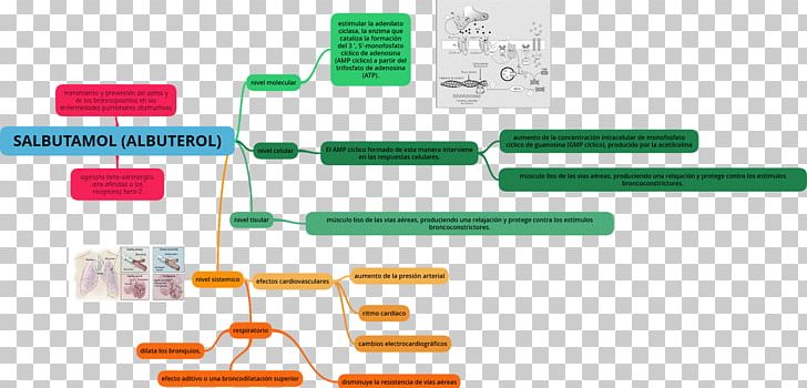 Albuterol Ibuprofen Pharmacodynamics Milligram Hyperkalemia PNG, Clipart, Albuterol, Albuterol Sulfate, Angle, Brand, Calcium Gluconate Free PNG Download