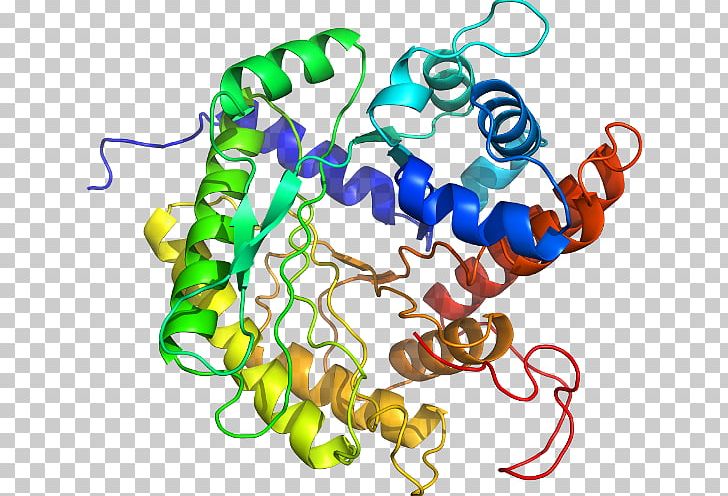 Cytochrome P450 CYP2E1 Cytochrome C Naftoflavon PNG, Clipart, Artwork, Biology, Body Jewelry, Cell, Chaperone Free PNG Download