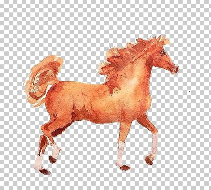 Mustang Pony Stallion Penguin Illustration PNG, Clipart, Animal, Animals, Chinoiserie, Horse, Horse Like Mammal Free PNG Download