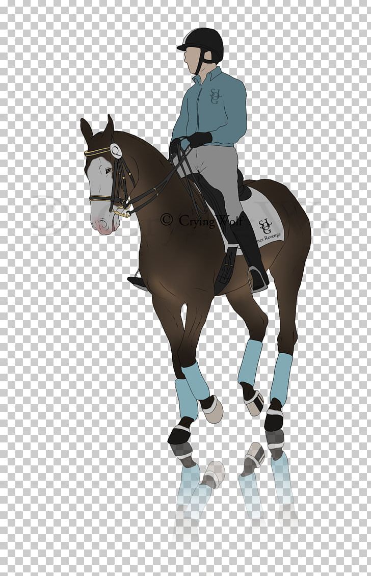 Hunt Seat Rein Horse Stallion Pony PNG, Clipart, Art, Bit, Bridle, English Riding, Equestrian Free PNG Download