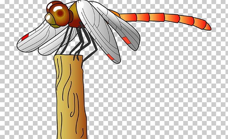 Illustration Odonate Meadowhawks Insect PNG, Clipart, Beak, Cartoon, Fictional Character, Food, Insect Free PNG Download