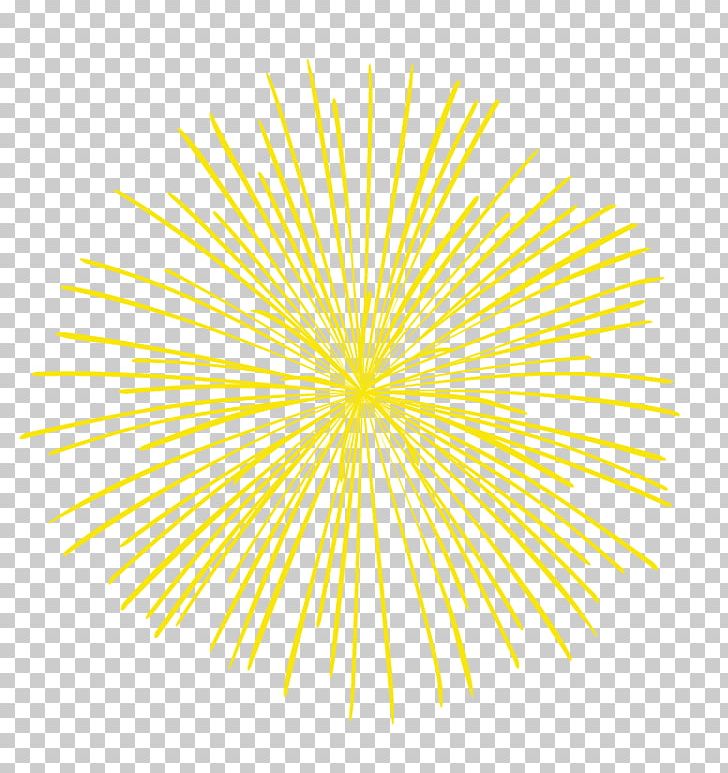 Fireworks Point Circle PNG, Clipart, Black Dandelion, Circle, Dandelion, Dandelion Flower, Dandelions Free PNG Download