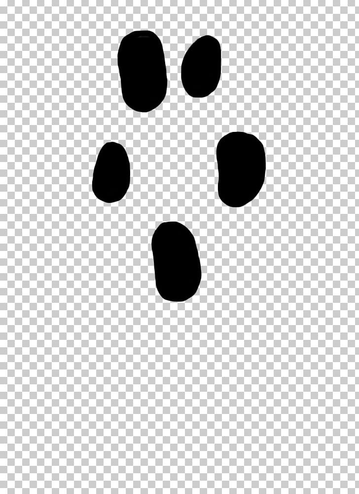 Shrew Animal Paw Hare PNG, Clipart, Animal, Animals, Animal Track, Black, Black And White Free PNG Download