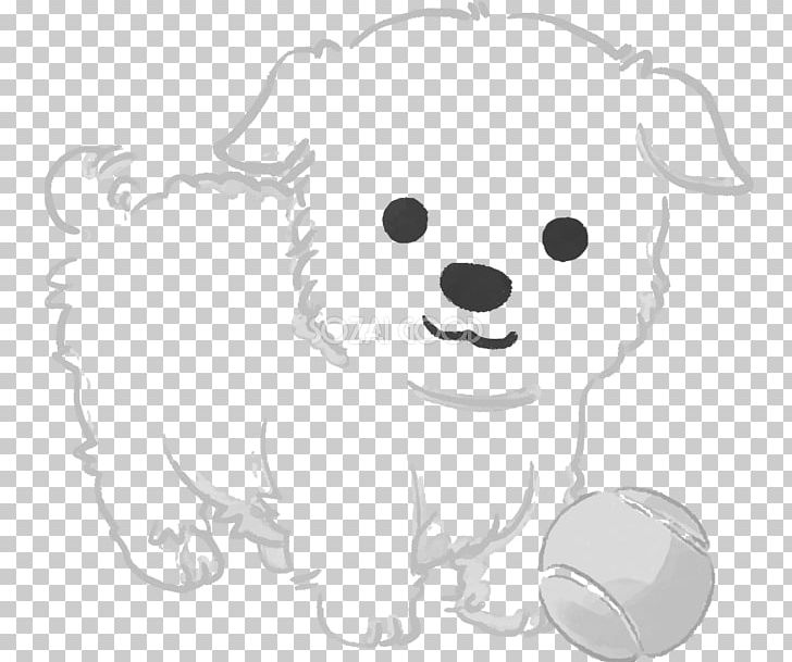 Dog Breed Puppy Maltese Dog Havanese Dog Bichon Frise PNG, Clipart, Animals, Artwork, Bal, Carnivoran, Cat Like Mammal Free PNG Download