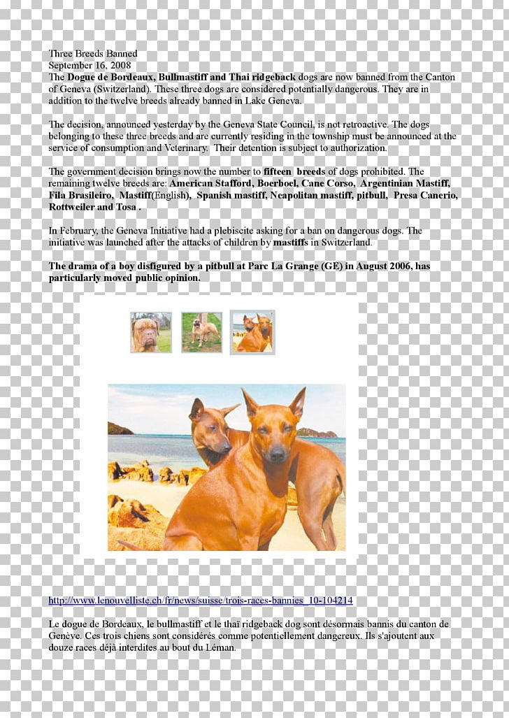 Horse Brochure PNG, Clipart, Animals, Ban, Breed, Brochure, Dog Free PNG Download