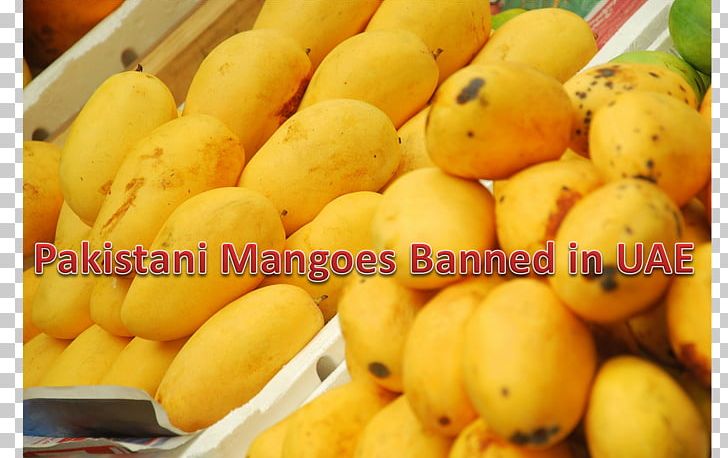 Sindhri Mango Karachi Fruit Federation Of Pakistan Chambers Of Commerce & Industry PNG, Clipart, Banana, Banana Family, Business, Crop, Cultivar Free PNG Download