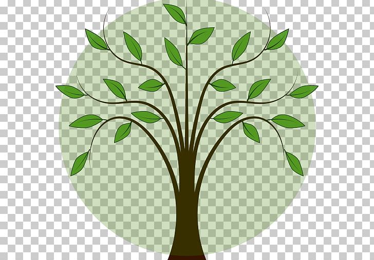 Tree Birch PNG, Clipart, Agac, Birch, Branch, Drawing, Flora Free PNG Download