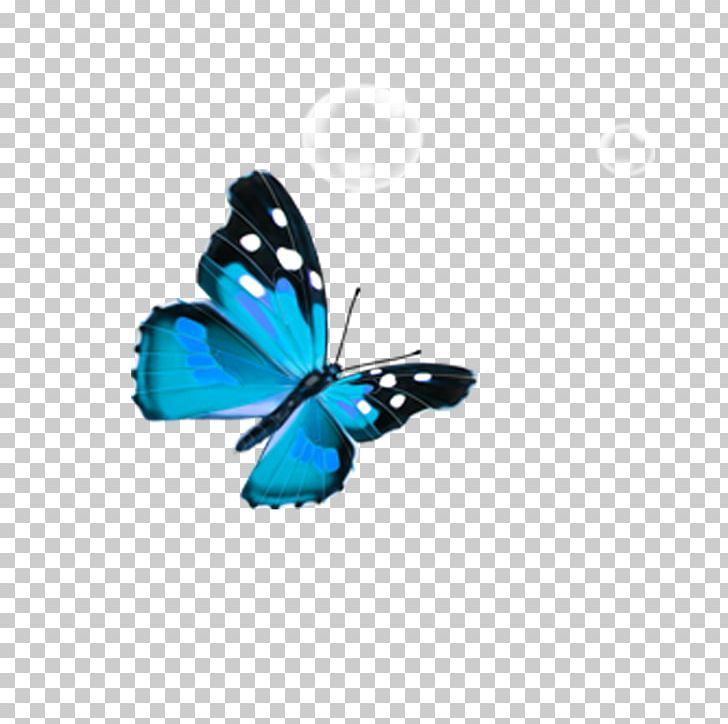 Butterfly Blue PNG, Clipart, Birds, Birds And Insects, Blue, Blue, Brush Footed Butterfly Free PNG Download