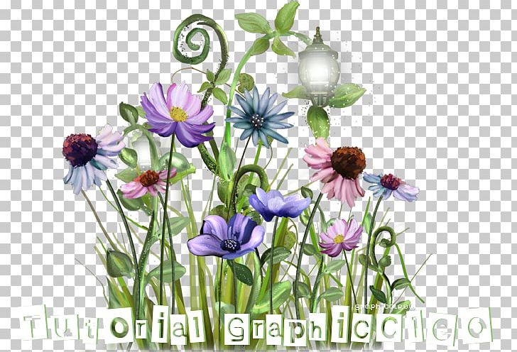Flower Floral Design Photography Plant Stem Internet Forum PNG, Clipart, Animation, Anime, Child, Daisy, Flora Free PNG Download