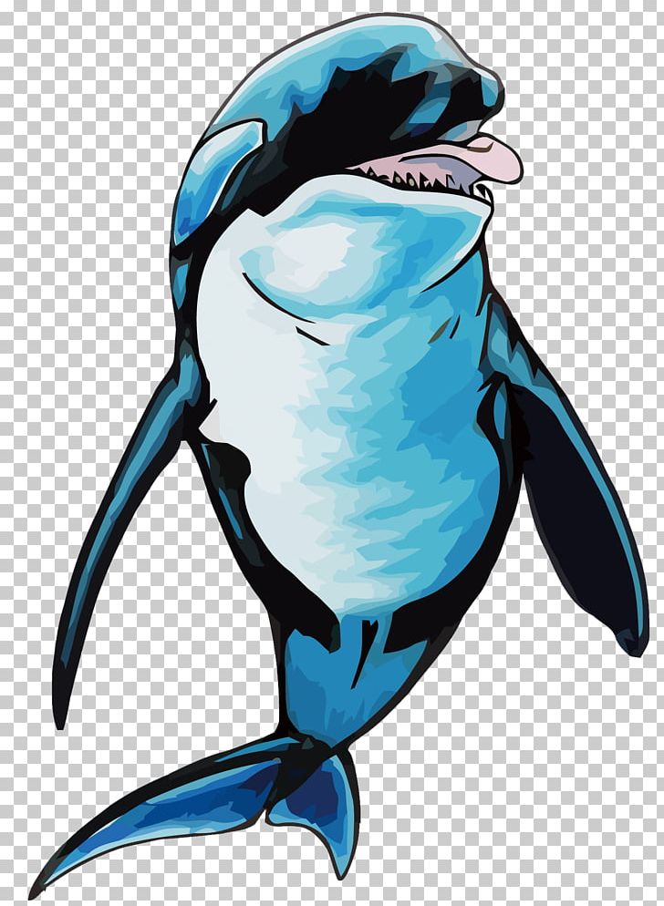 Penguin Dolphin Killer Whale Porpoise PNG, Clipart, Animal, Animals, Bird, Cetacea, Deviantart Free PNG Download