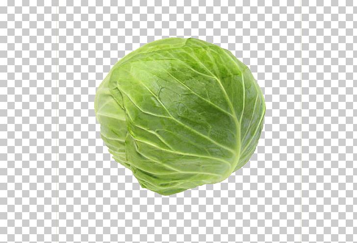 Cabbage Roll Tonkatsu Food Vegetable PNG, Clipart, Brunoise, Cabbage, Collard Greens, Cruciferous Vegetables, Cuisine Free PNG Download